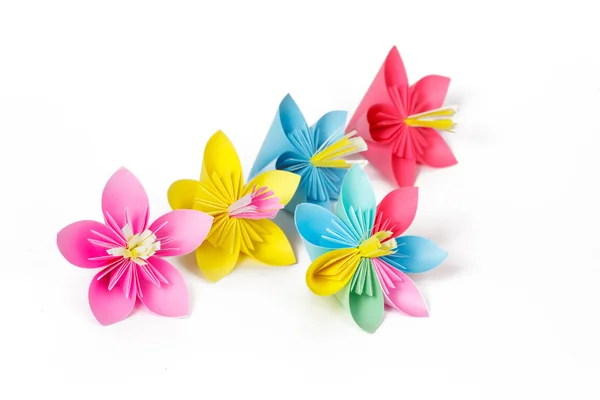 Many colored paper flowers and flower with varicolored petals — Stock Photo, Image