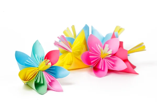 Viele bunte Papierblumen und Blüten mit bunten Blütenblättern — Stockfoto