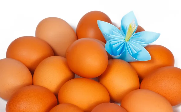 Ovos de Páscoa no prato com uma flor de papel — Fotografia de Stock