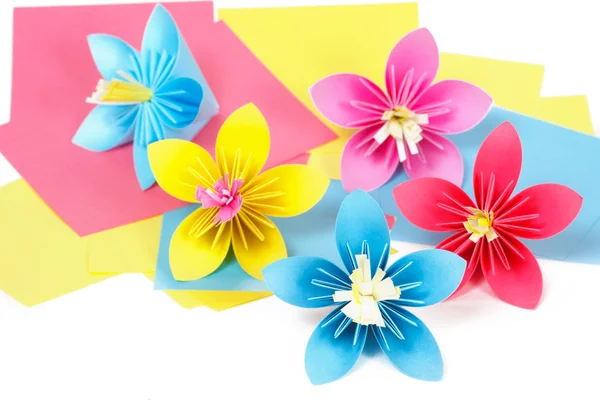 Papier farbige Blumen auf dem Papier — Stockfoto