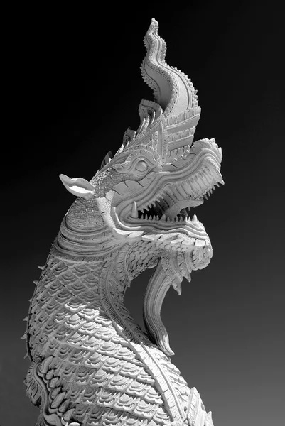 Dragon ! — Photo