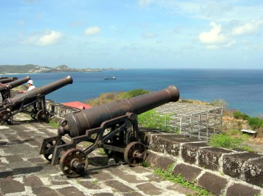 fort George toplar