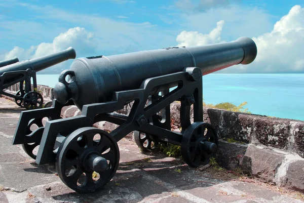 Cannons — Stock Photo, Image
