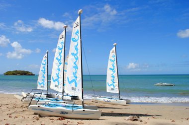 Halcyon Beach
