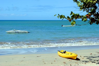 Halcyon Beach