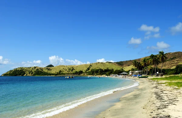 Praia de algas — Fotografia de Stock