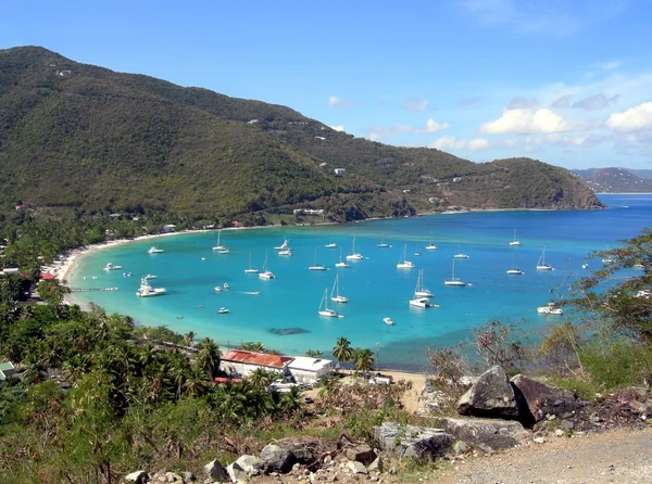 Tortola — Zdjęcie stockowe