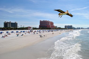 Clearwater Beach Florida clipart
