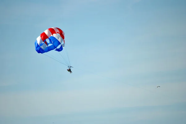 Parachutisme en Floride — Photo