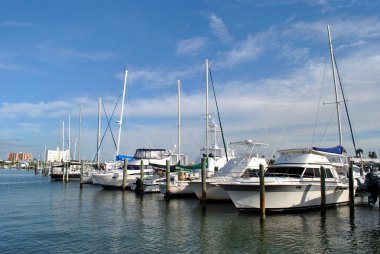 Clearwater plaj Florida