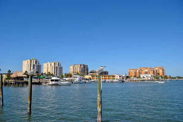 Clearwater beach i florida — Stockfoto