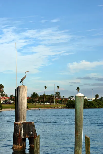 Clearwater Beach en Florida — Foto de Stock