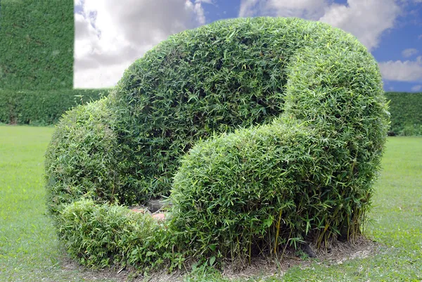 Silla Topiary — Foto de Stock