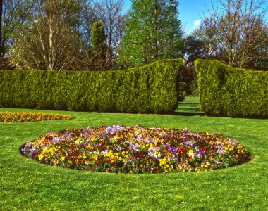 Çiçek tarhında çiçek açan hanım evlatlarının renkli bir gösterisi.