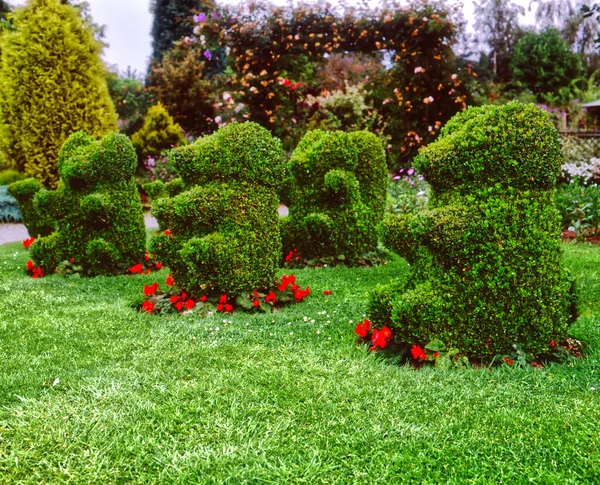 Topiary Bears Sat Lawn Having Picnic — Stok fotoğraf