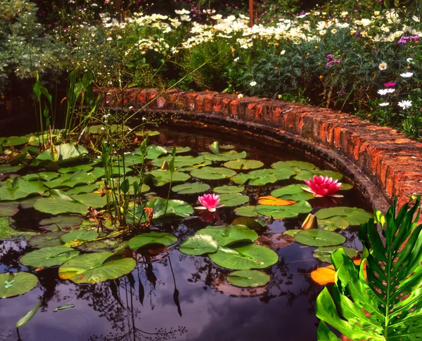 Garden Pond Surrounded Brick Wall — Stockfoto