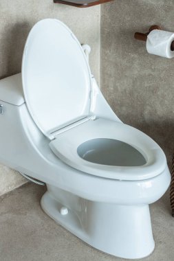 Yeni seramik klozet ve tuvalet kağıdı. Temizlik, WC, yaşam tarzı ve kişisel temizlik konsepti