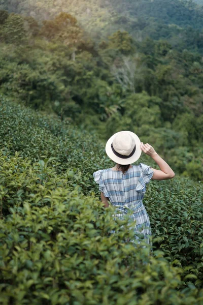 Mulher Feliz Turista Vestido Azul Chapéu Desfrutar Belo Chá Garden — Fotografia de Stock