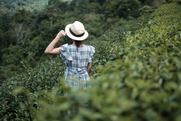 Mulher Feliz Turista Vestido Azul Chapéu Desfrutar Belo Chá Garden — Fotografia de Stock