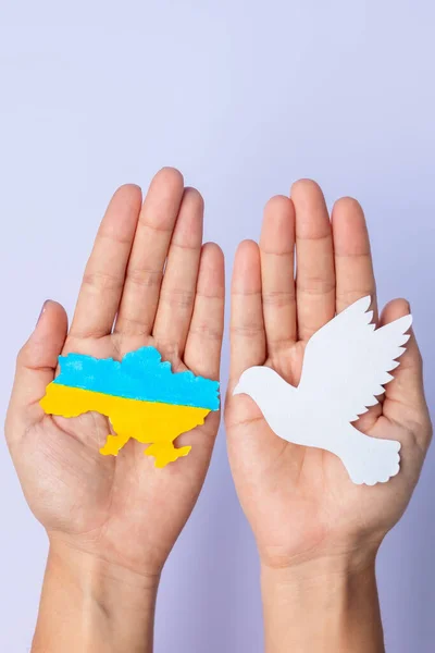 Підтримка України Війні Росією Руки Тримають Руках Мирну Голубку Прикордонним — стокове фото