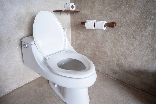 Baru Keramik Toilet Mangkuk Dan Kertas Toilet Membersihkan Gaya Hidup — Stok Foto