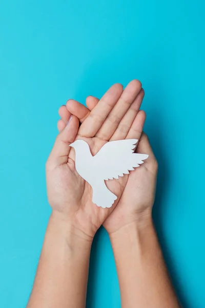 Mezinárodní Den Míru Ruce Drží Bílý Papír Holubice Pták Modrém — Stock fotografie