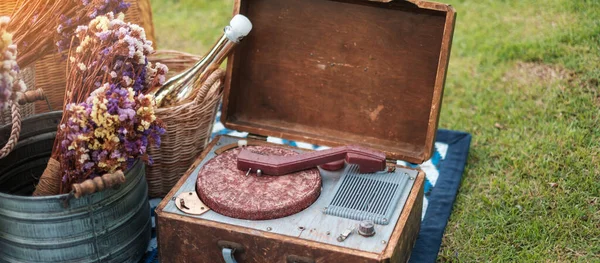 Picknick Het Park Bij Rivier Gedroogde Bloemen Manden Wijn Fles — Stockfoto