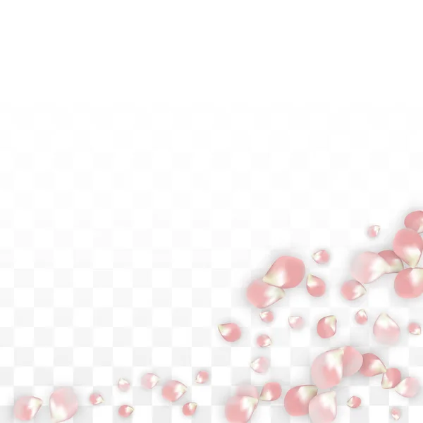 Pink Vector Realist Petals Falling on Transparent Background Приклад весняних романтичних квітів. Летючі Пелюстки. Сакура Спа Дизайн. Blossom Confetti. Дизайн елементів для весільної прикраси. — стоковий вектор