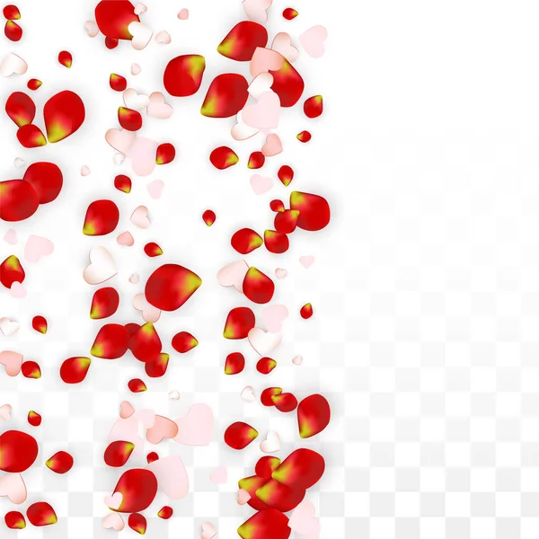 Vektorové Realistické Okvětní Lístky Srdce Confetti Létající Růže Srdce Průhledném — Stockový vektor
