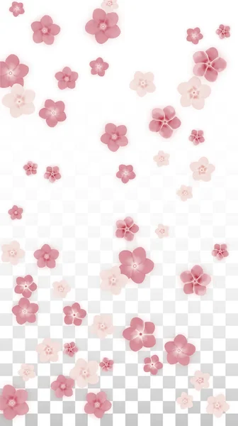 Vector Realistische Roze Bloemen Vallen Transparante Achtergrond Lente Romantische Bloemen — Stockvector