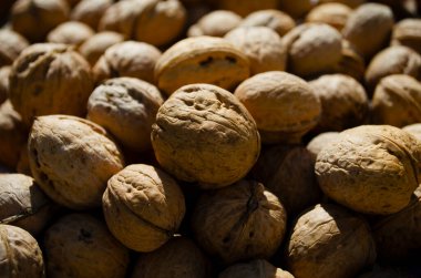 Yakın çekim kabukta bir sürü ceviz var.