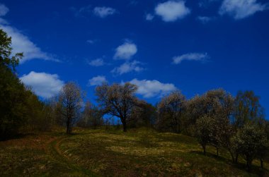 Gün batımında dağlarda kırsal manzara. Karpatların güzel manzarası. Akşam vakti çayırları ormanlık tepelerde yuvarlanıyor. İlkbaharda harika bir hava