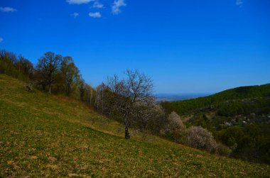 Gün batımında dağlarda kırsal manzara. Karpatların güzel manzarası. Akşam vakti çayırları ormanlık tepelerde yuvarlanıyor. İlkbaharda harika bir hava