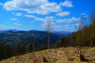 Gün batımında dağlarda kırsal manzara. Karpatların güzel manzarası. Akşam vakti çayırları ormanlık tepelerde yuvarlanıyor. İlkbaharda harika bir hava