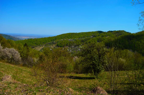 Gün Batımında Dağlarda Kırsal Manzara Karpatların Güzel Manzarası Akşam Vakti — Stok fotoğraf