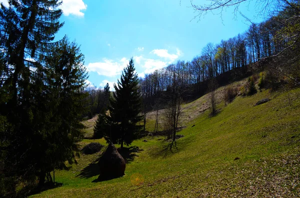 Paisagem Rural Nas Montanhas Pôr Sol Bela Paisagem Carpathians Com — Fotografia de Stock