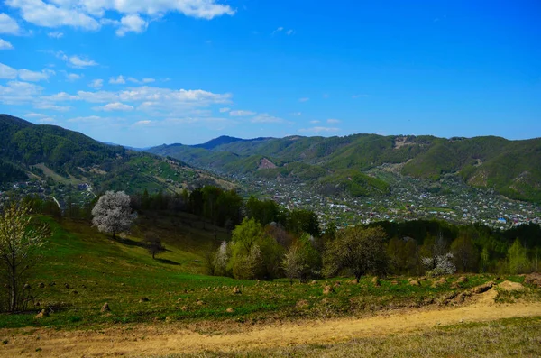 Paisaje Rural Las Montañas Atardecer Hermoso Paisaje Los Cárpatos Con — Foto de Stock