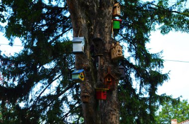 Kuş besleyicilerinin yuvaları için çok farklı şekillerde kuş yuvaları vardır. Parktaki kuş yemlikleri. Kırsal alanda renkli kuş yemlikleri. Hayvan beslemek için bir sürü yuva ya da ev