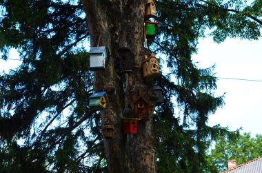 Kuş besleyicilerinin yuvaları için çok farklı şekillerde kuş yuvaları vardır. Parktaki kuş yemlikleri. Kırsal alanda renkli kuş yemlikleri. Hayvan beslemek için bir sürü yuva ya da ev