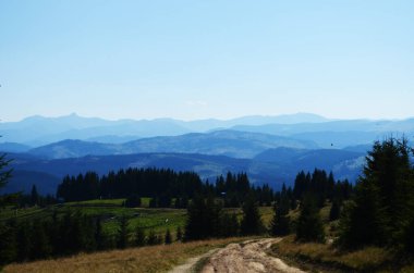 Uçan kargalar dağlardaki ormanın üstündeki mavi gökyüzünde