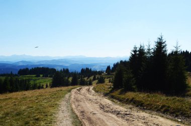 Uçan kargalar dağlardaki ormanın üstündeki mavi gökyüzünde