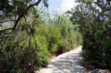 Kumlu plajı ve mavi denizi ile ünlü olan Oludeniz Plajı, Babadag topraklarından paraşütçülerin atladığı yerdir. Fethiye