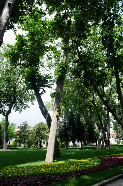 Vista Histórico Parque Gulhane Urbano Bairro Eminonu Istambul Palácio Topkapi — Fotografia de Stock