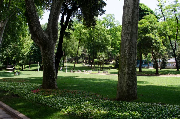 Vista Histórico Parque Gulhane Urbano Bairro Eminonu Istambul Palácio Topkapi — Fotografia de Stock