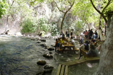 Goynuk Kanyonu 'nda renkli bir bahar sahnesi. Türkiye, Asya 'da güzel bir sabah manzarası. Doğa konseptinin güzelliği.
