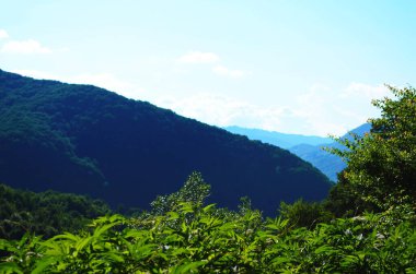 Dağ zirvesi manzarası. Yeşil dağ manzaralı. Dağ zirvesi mavi gökyüzü beyaz bulutlar