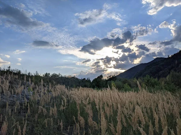 Beautiful Cloudy Sky Sunset River High Bank River Overgrown Grass — Stock Fotó