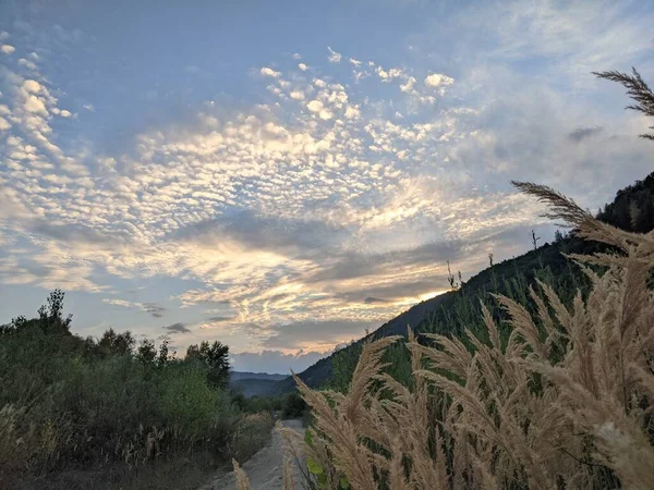 Beautiful Cloudy Sky Sunset River High Bank River Overgrown Grass — Stock Fotó