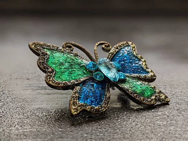 Beautiful Decorative Brooch Form Butterfly Enamel Close — Foto de Stock