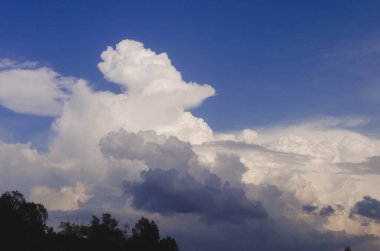Puffy white cloud on clear blue sky